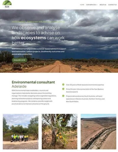 RSW Environmental website preview