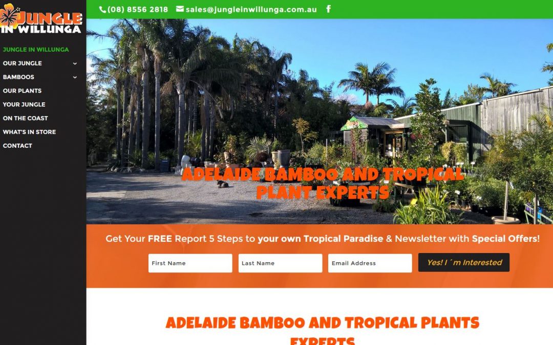Website Design for Jungle in Willunga