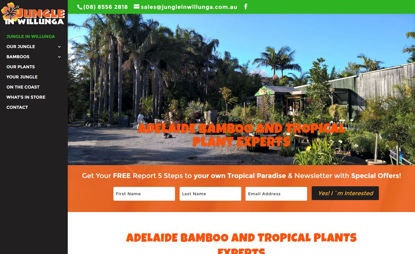 Website Design for Jungle in Willunga