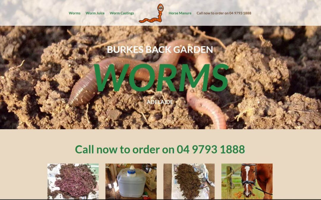 Worms for sale in Adelaide