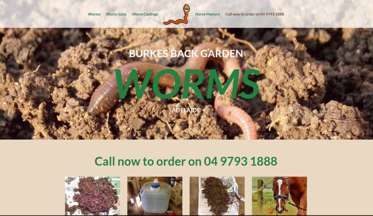 Worms For Sale In Adelaide site Adelaide