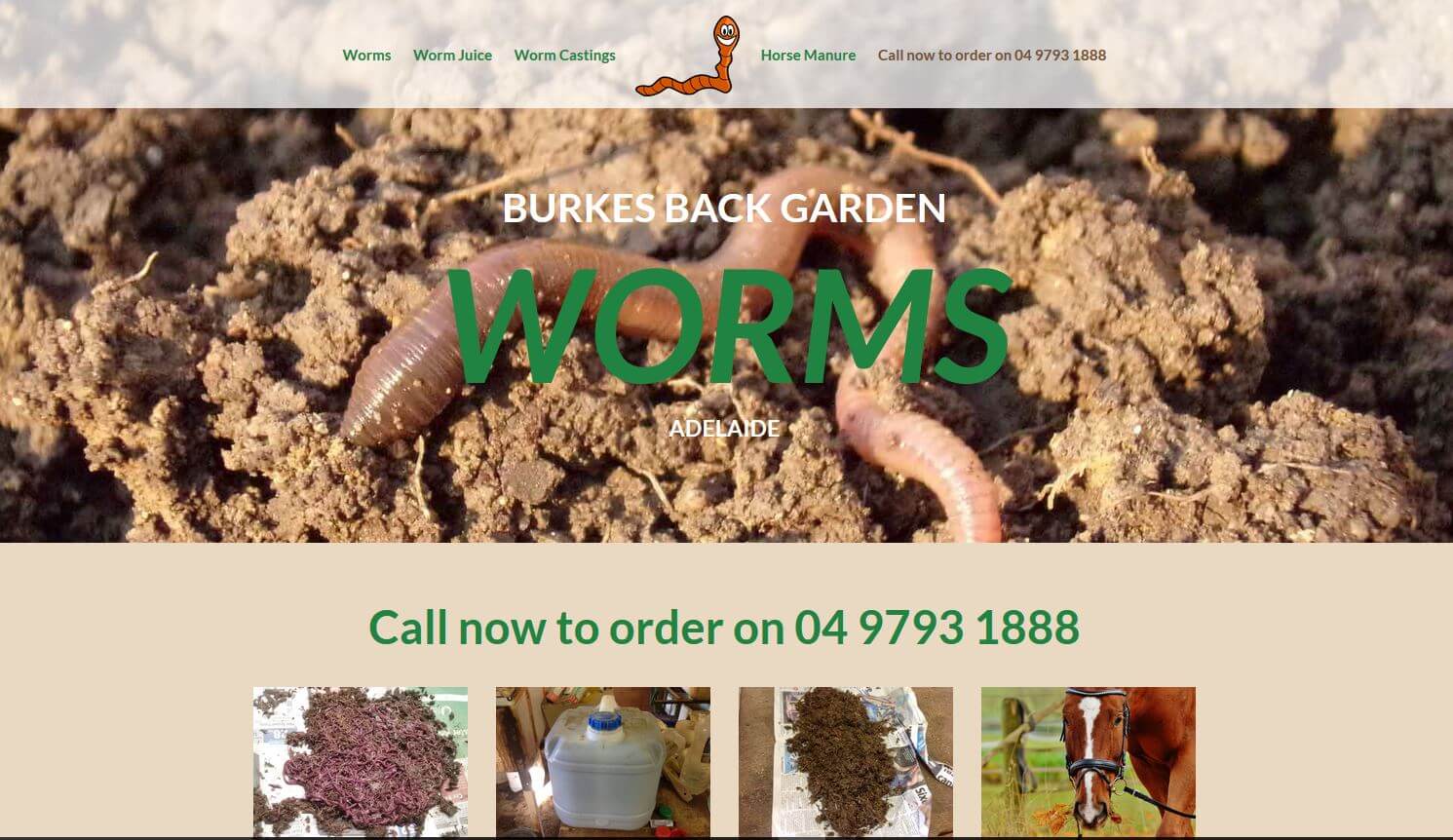 Worms for sale in Adelaide
