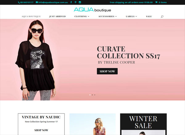 ecommerce website online shop system wordpress