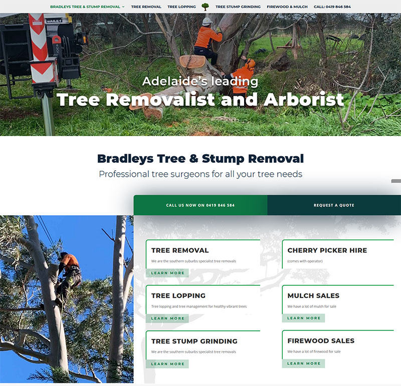 website design mclaren vale business bradleys tree