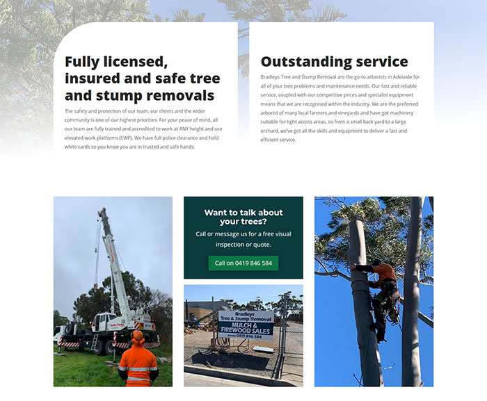 website design mclaren vale business bradleys tree