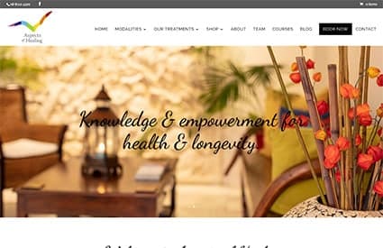 Web Design Adelaide website designer 